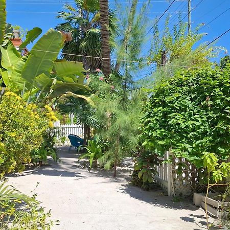 Amanda'S Place Green Studio - Pool And Tropical Garden Caye Caulker Dış mekan fotoğraf