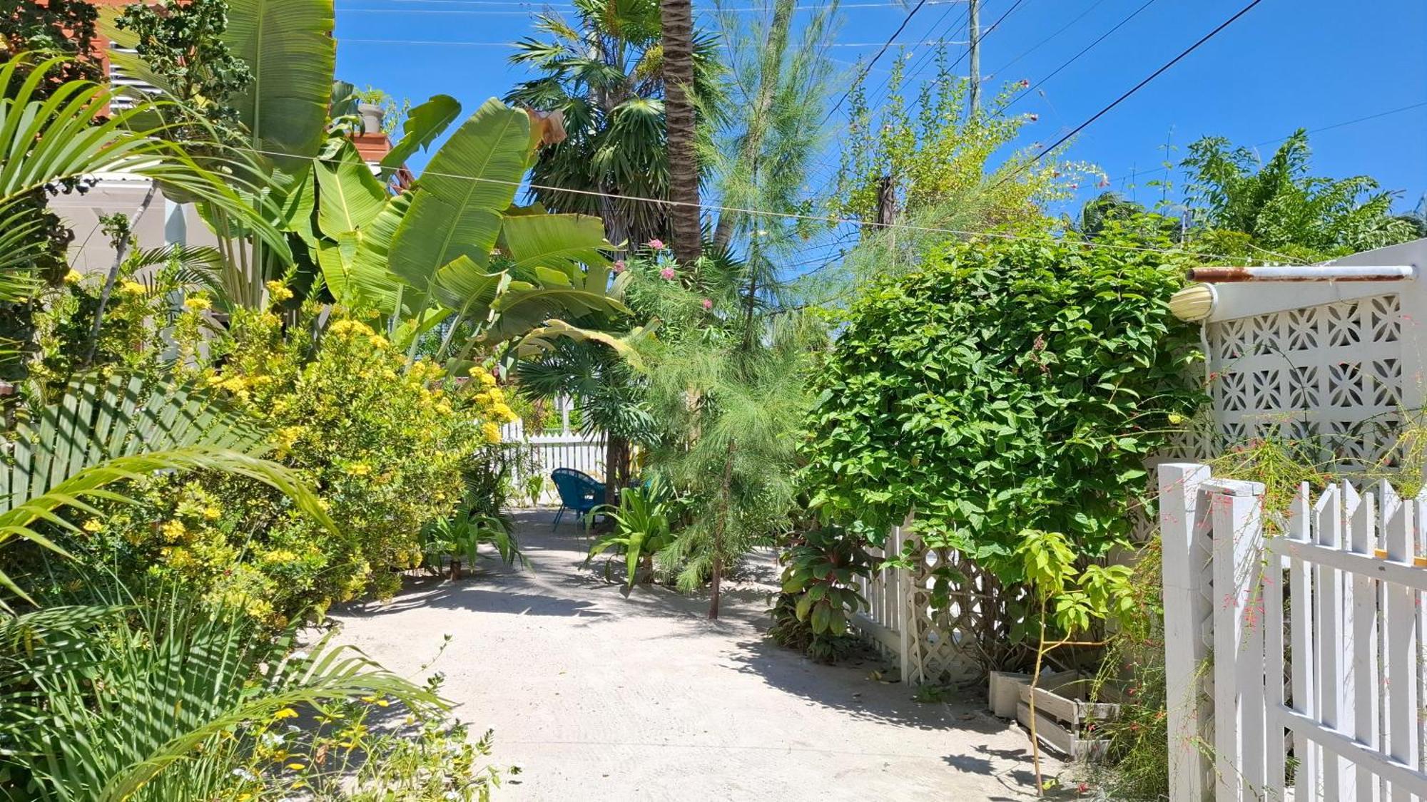 Amanda'S Place Green Studio - Pool And Tropical Garden Caye Caulker Dış mekan fotoğraf