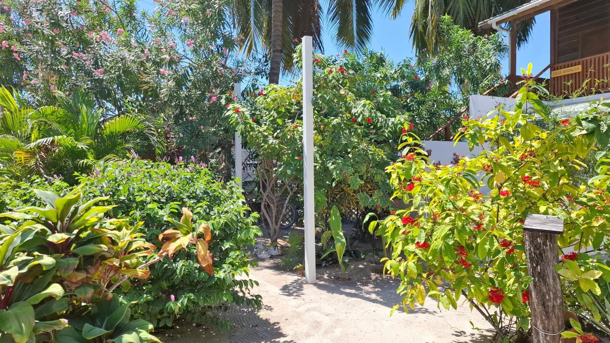 Amanda'S Place Green Studio - Pool And Tropical Garden Caye Caulker Dış mekan fotoğraf