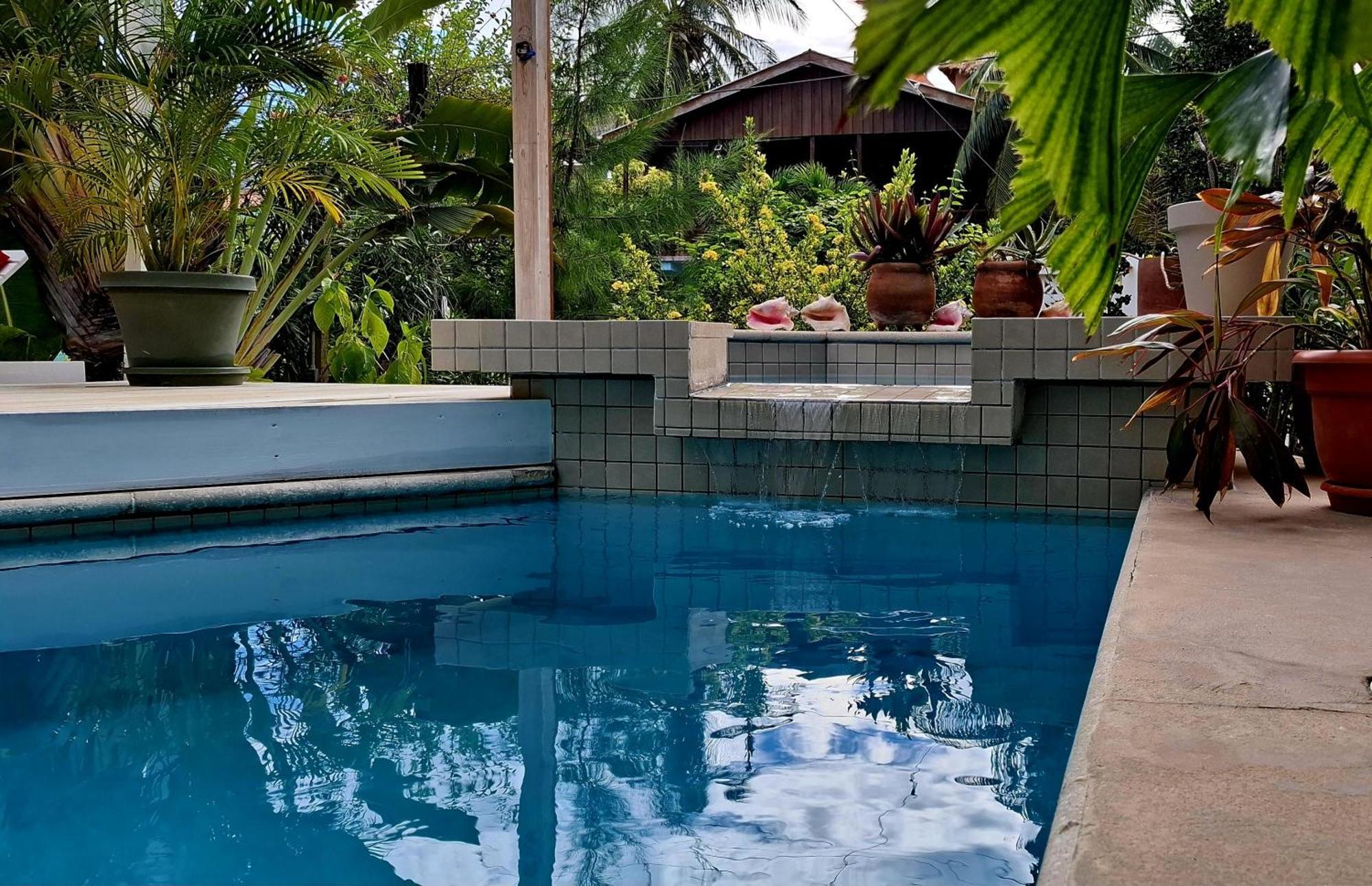 Amanda'S Place Green Studio - Pool And Tropical Garden Caye Caulker Dış mekan fotoğraf